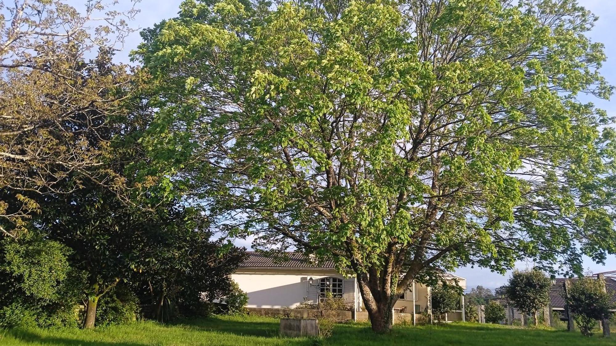 A Casa De Abelleira Ponteareas Exterior foto